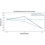 Linearity - Rat AVPR1B ELISA Kit (A77728) - Antibodies.com