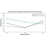 Linearity - Human Carbonic Anhydrase 6/CA6 ELISA Kit (A77790) - Antibodies.com