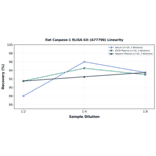 Linearity - Rat Caspase-1 ELISA Kit (A77798) - Antibodies.com