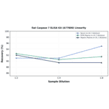 Linearity - Rat Caspase 7 ELISA Kit (A77800) - Antibodies.com