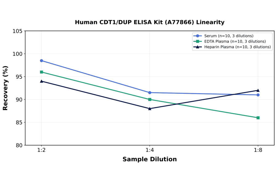 Linearity - Human CDT1/DUP ELISA Kit (A77866) - Antibodies.com