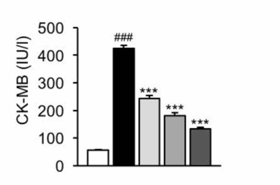 ELISA - Rat Creatine Kinase B Type ELISA Kit - Antibodies.com