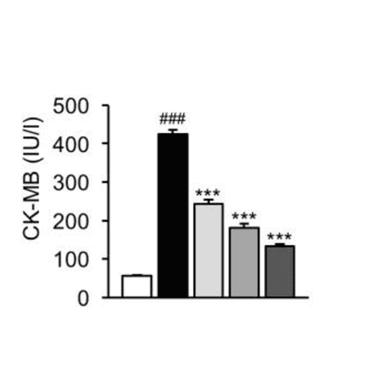 ELISA - Rat Creatine Kinase B Type ELISA Kit - Antibodies.com