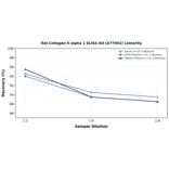 Linearity - Rat Collagen II alpha 1 ELISA Kit (A77902) - Antibodies.com