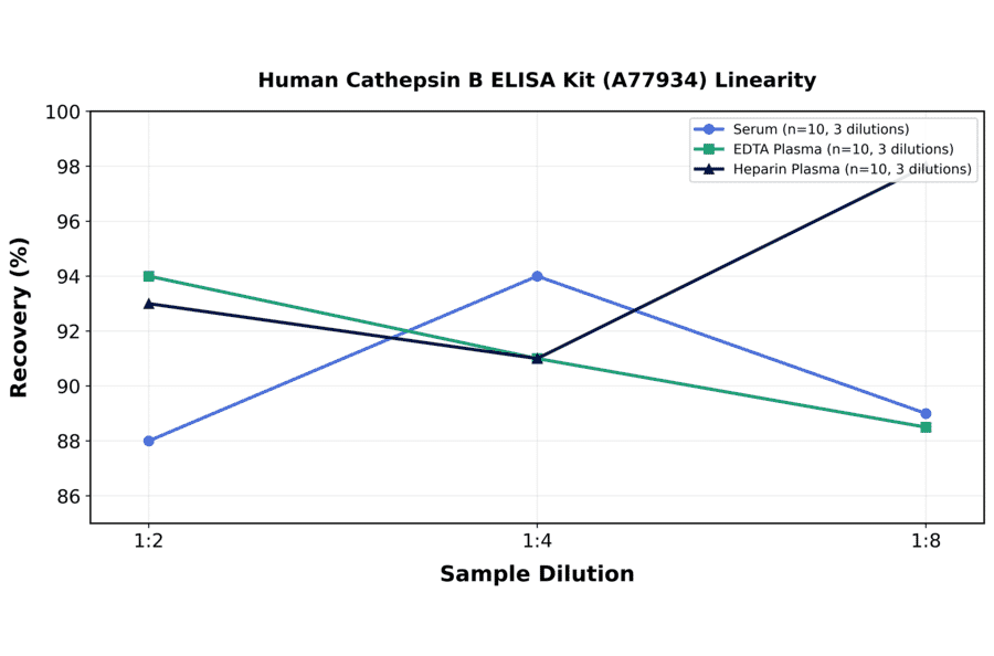 Linearity - Human Cathepsin B ELISA Kit (A77934) - Antibodies.com