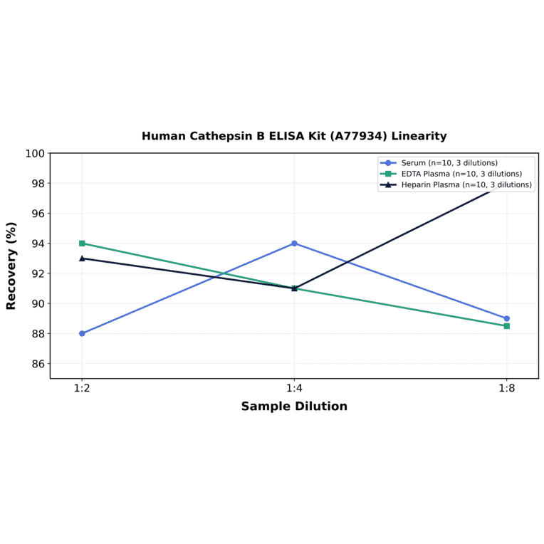 Linearity - Human Cathepsin B ELISA Kit (A77934) - Antibodies.com