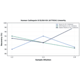 Linearity - Human Cathepsin B ELISA Kit (A77934) - Antibodies.com