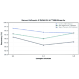 Linearity - Human Cathepsin K ELISA Kit (A77941) - Antibodies.com