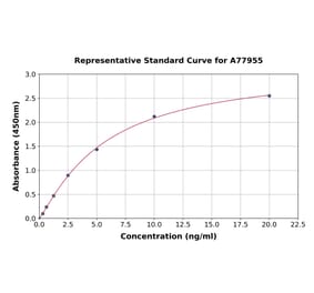 Standard Curve - Rat Cyp2d4 ELISA Kit (A77955) - Antibodies.com