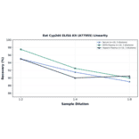 Linearity - Rat Cyp2d4 ELISA Kit (A77955) - Antibodies.com