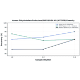 Linearity - Human Dihydrofolate Reductase/DHFR ELISA Kit (A77979) - Antibodies.com