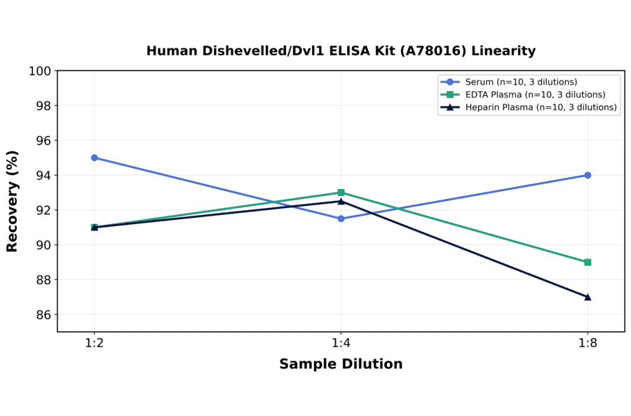 Linearity - Human Dishevelled/Dvl1 ELISA Kit (A78016) - Antibodies.com