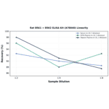 Linearity - Rat ERK1 + ERK2 ELISA Kit (A78040) - Antibodies.com