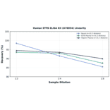 Linearity - Human ETFB ELISA Kit (A78054) - Antibodies.com