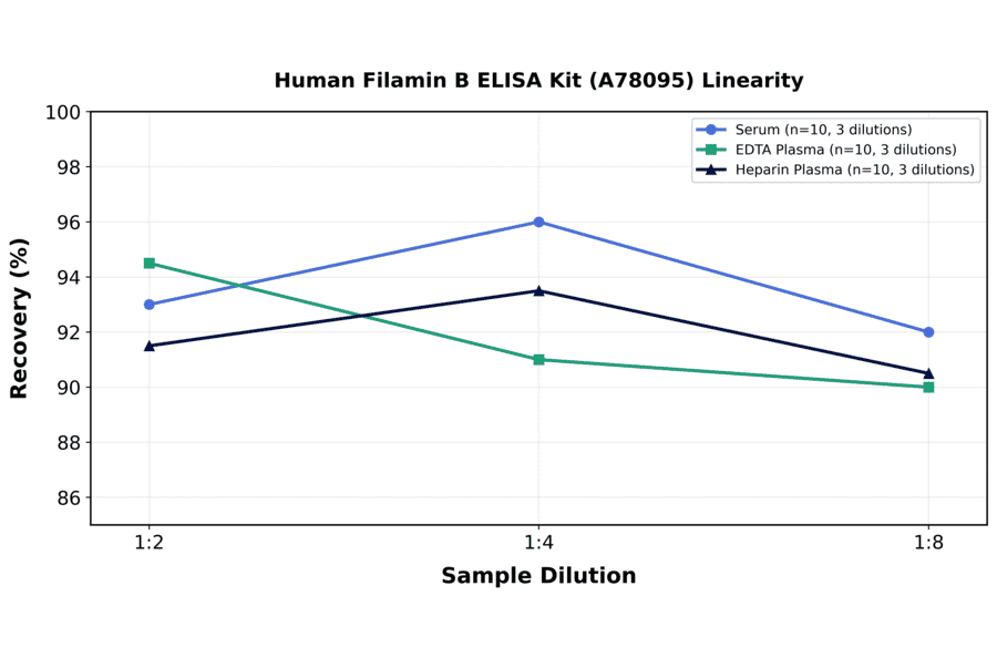 Linearity - Human Filamin B ELISA Kit (A78095) - Antibodies.com