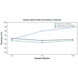 Linearity - Human GFM1 ELISA Kit (A78151) - Antibodies.com
