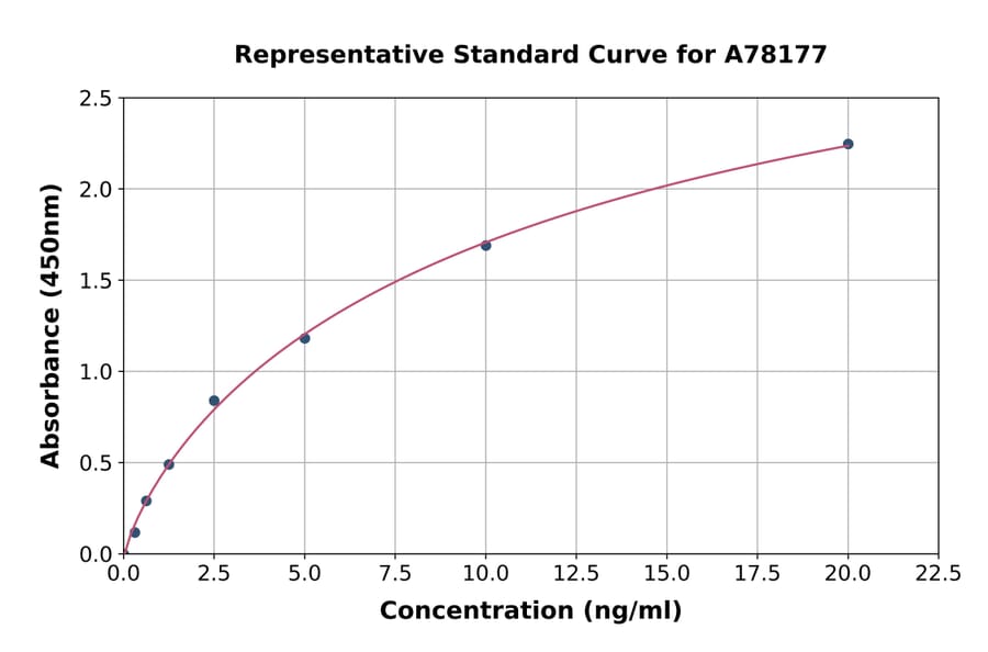 Standard Curve - Human GNMT ELISA Kit (A78177) - Antibodies.com