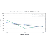 Linearity - Human Heme Oxygenase 1 ELISA Kit (A78258) - Antibodies.com