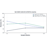 Linearity - Rat ICAM1 ELISA Kit (A78276) - Antibodies.com