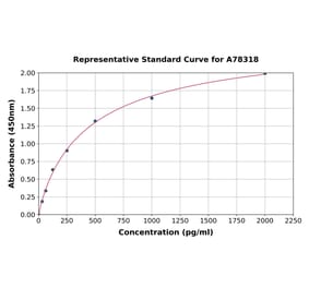 Standard Curve - Human IL37 ELISA Kit (A78318) - Antibodies.com