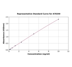 Standard Curve - Human JAK2 ELISA Kit (A78349) - Antibodies.com