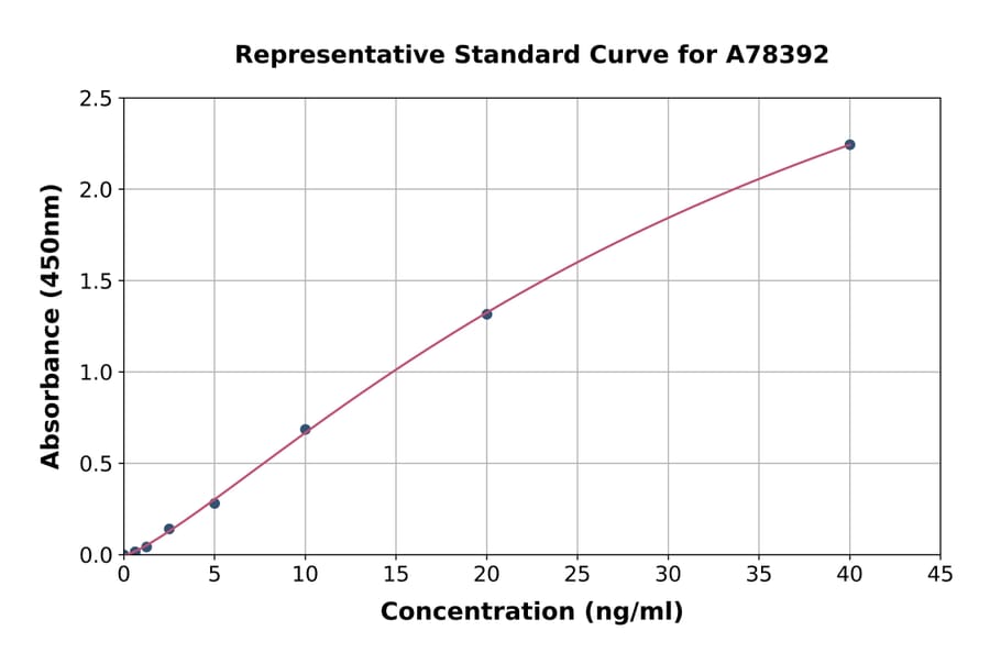 Standard Curve - Human LOX ELISA Kit (A78392) - Antibodies.com
