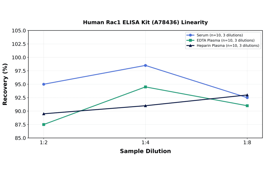 Linearity - Human Rac1 ELISA Kit (A78436) - Antibodies.com