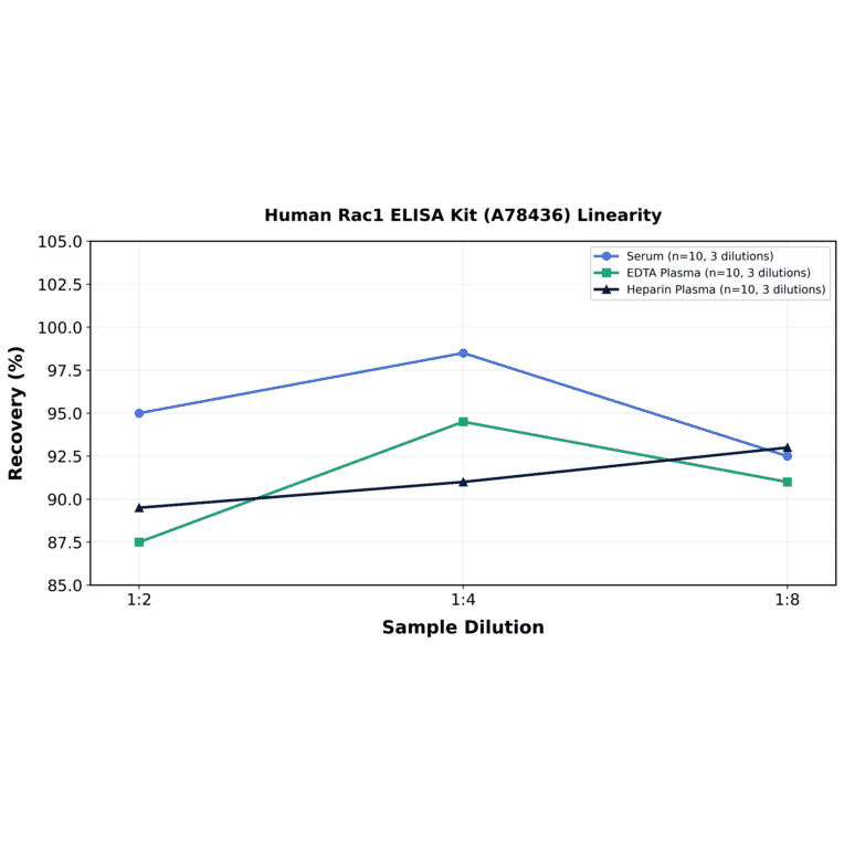 Linearity - Human Rac1 ELISA Kit (A78436) - Antibodies.com