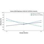 Linearity - Human NOX2/Gp91phox ELISA Kit (A78533) - Antibodies.com