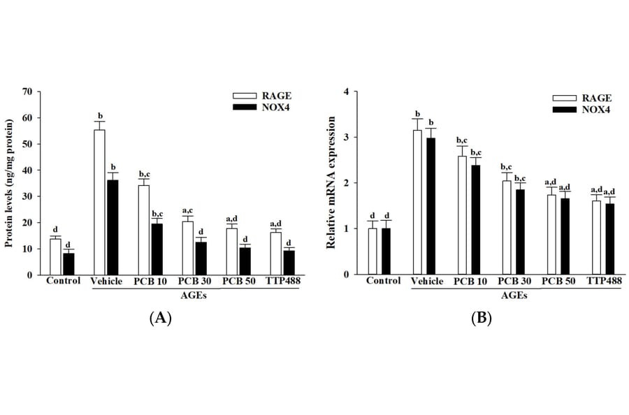 ELISA - Human NADPH Oxidase 4 ELISA Kit (A78534) - Antibodies.com