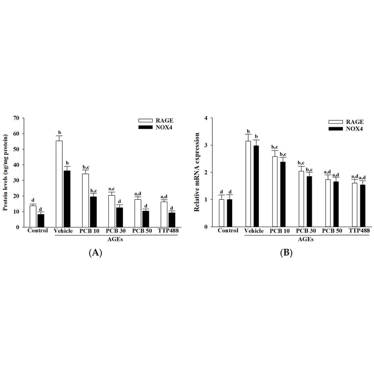 ELISA - Human NADPH Oxidase 4 ELISA Kit (A78534) - Antibodies.com