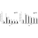 ELISA - Human NADPH Oxidase 4 ELISA Kit (A78534) - Antibodies.com
