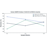 Linearity - Human NADPH Oxidase 4 ELISA Kit (A78534) - Antibodies.com
