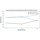 Linearity - Human Ornithine Decarboxylase/ODC1 ELISA Kit (A78562) - Antibodies.com
