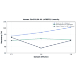 Linearity - Human Otx2 ELISA Kit (A78573) - Antibodies.com