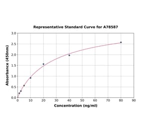 Standard Curve - Human Serpin A5 ELISA Kit (A78587) - Antibodies.com