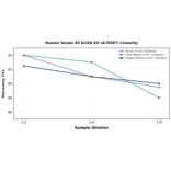 Linearity - Human Serpin A5 ELISA Kit (A78587) - Antibodies.com