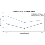 Linearity - Human PCK2 ELISA Kit (A78608) - Antibodies.com