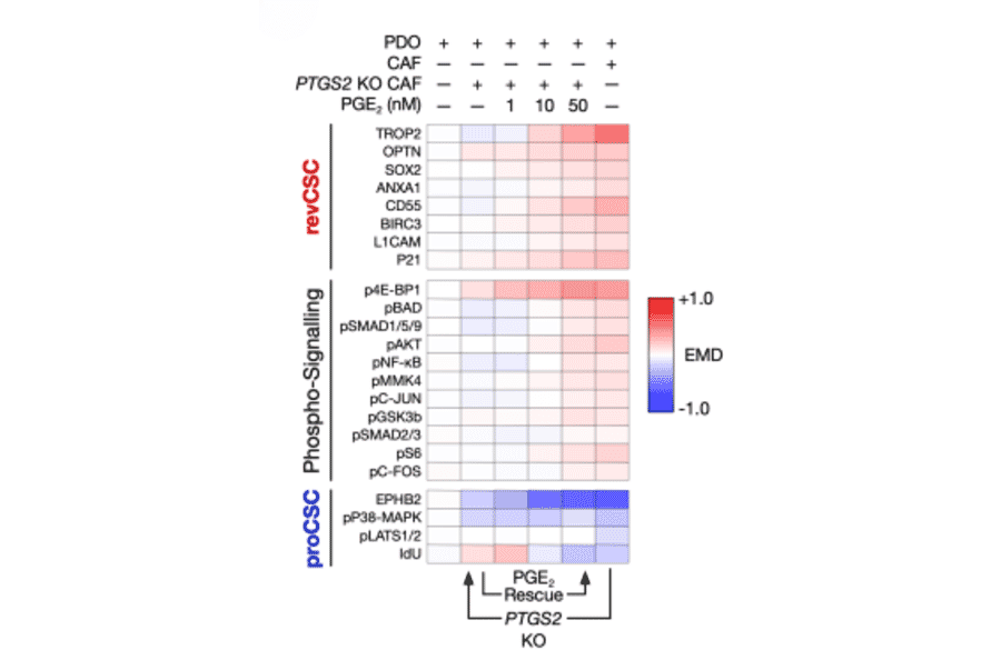ELISA - Human Prostaglandin E2 ELISA Kit (A78615) - Antibodies.com Citation