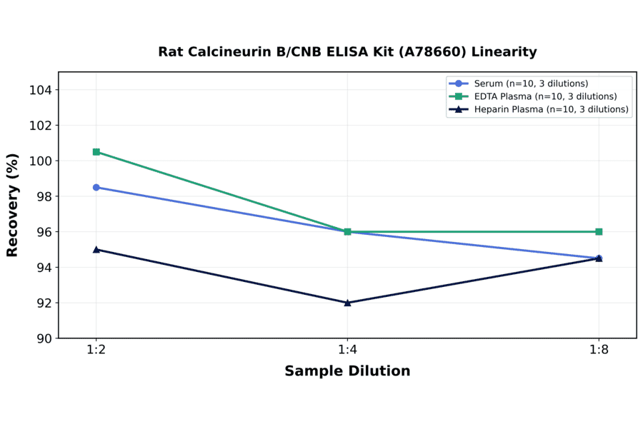 Linearity - Rat Calcineurin B/CNB ELISA Kit (A78660) - Antibodies.com