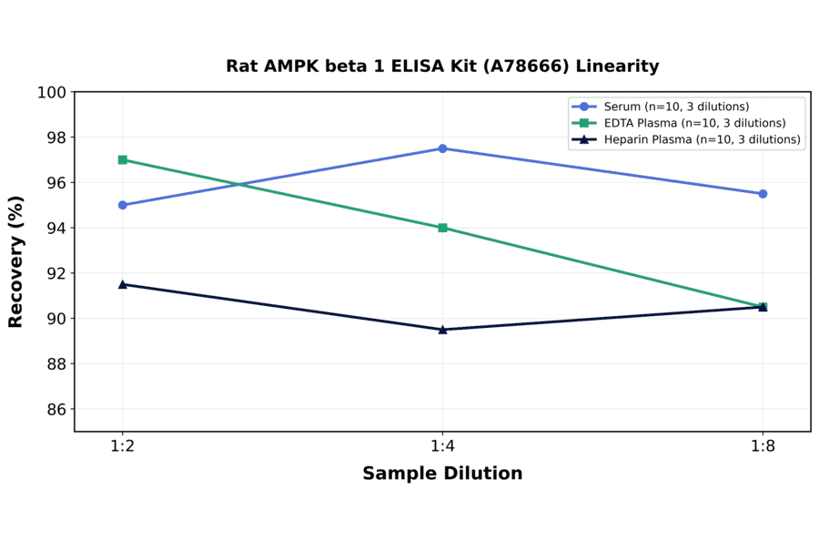 Linearity - Rat AMPK beta 1 ELISA Kit (A78666) - Antibodies.com
