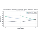 Linearity - Rat PRKACB/cAMP-Dependent Protein Kinase Catalytic Subunit beta ELISA Kit (A78668) - Antibodies.com