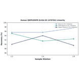 Linearity - Human QDPR/DHPR ELISA Kit (A78704) - Antibodies.com