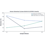 Linearity - Human Glutaminyl Cyclase ELISA Kit (A78705) - Antibodies.com