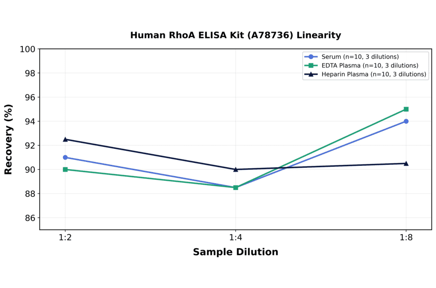 Linearity - Human RhoA ELISA Kit (A78736) - Antibodies.com