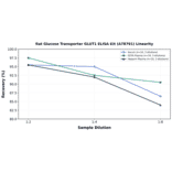 Linearity - Rat Glucose Transporter GLUT1 ELISA Kit (A78791) - Antibodies.com