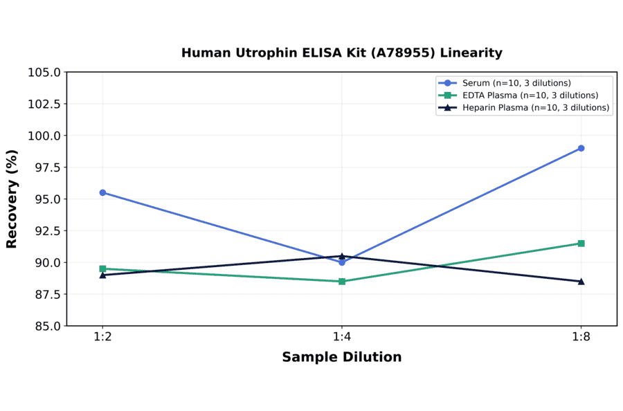 Linearity - Human Utrophin ELISA Kit (A78955) - Antibodies.com