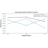 Linearity - Human XBP1 ELISA Kit (A78977) - Antibodies.com