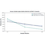Linearity - Human Soluble alpha Klotho ELISA Kit (A79017) - Antibodies.com