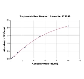 Standard Curve - Rat AIF ELISA Kit (A79091) - Antibodies.com